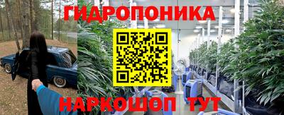 индика Конаково