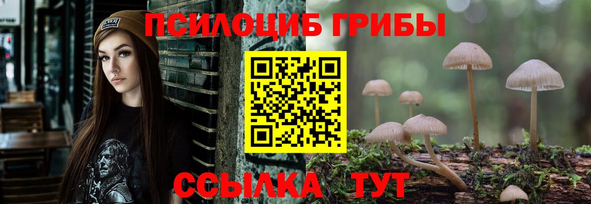 Корсаков  Псилоцибиновые грибы ЛСД  Вход с VPN 